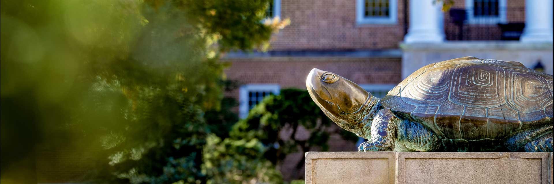 UMD Testudo Statue